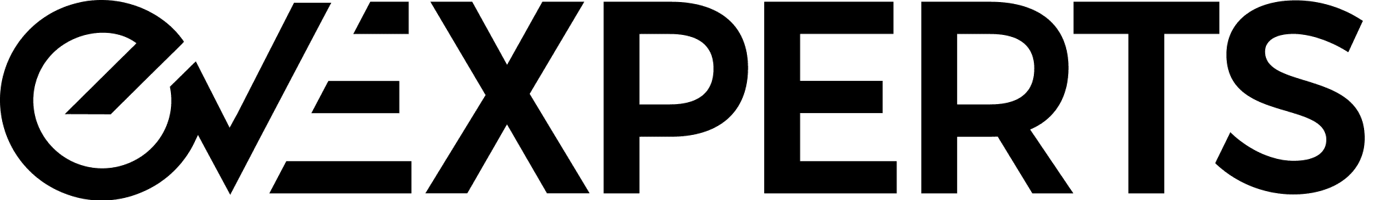 Ev Experts Logo logo